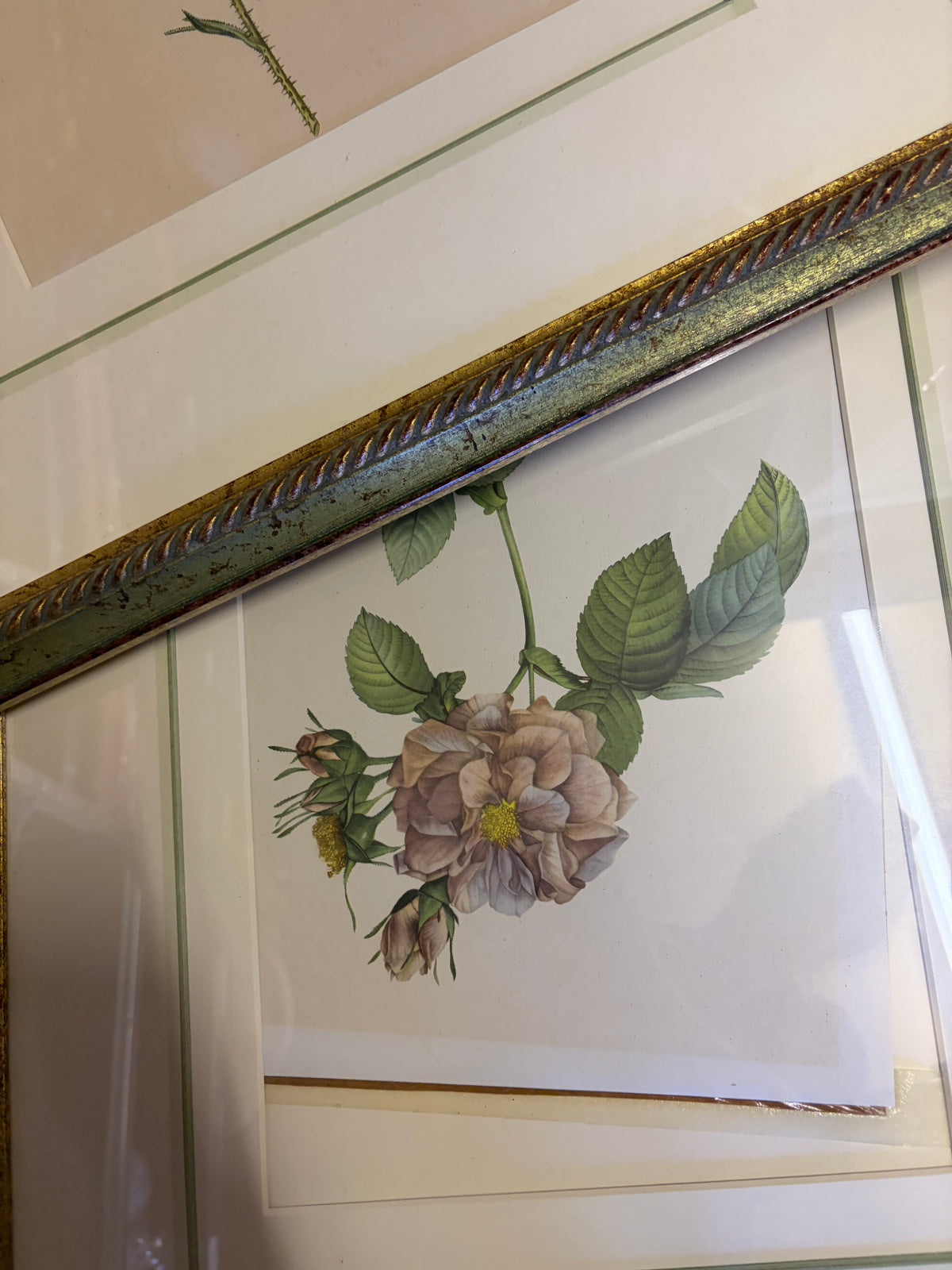 FRAMES AND FLOWER PRINTS