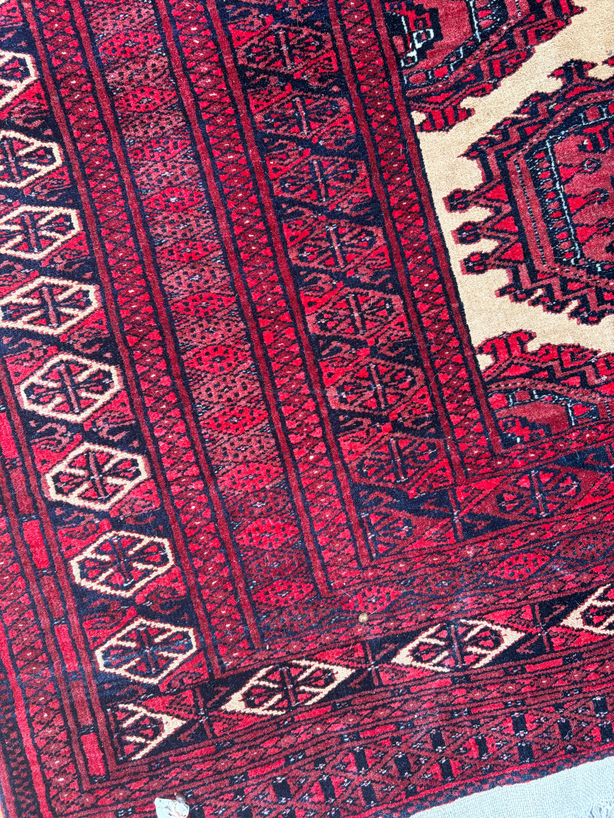 CARPET