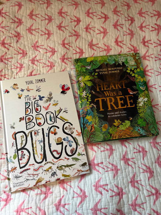 STORYBOOKS
