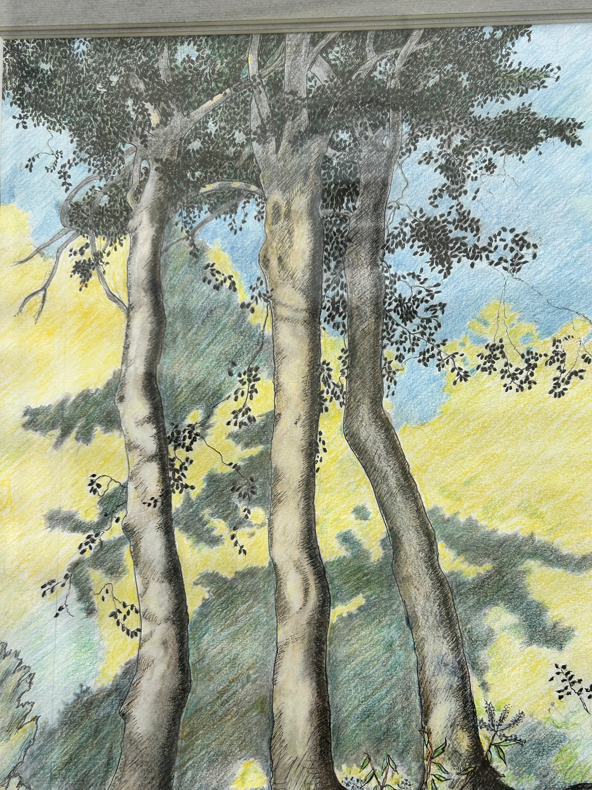 TREE DRAWING