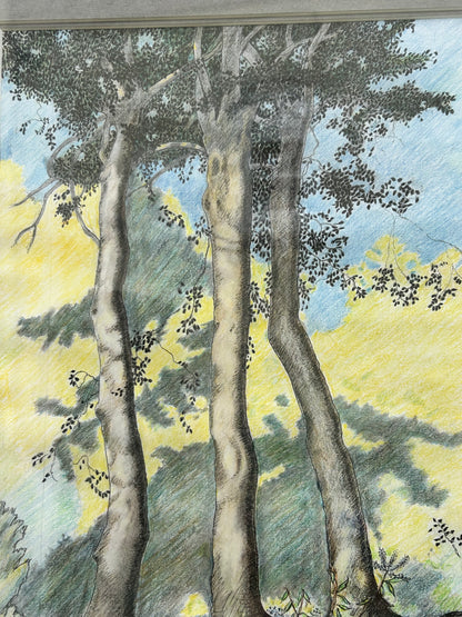 TREE DRAWING