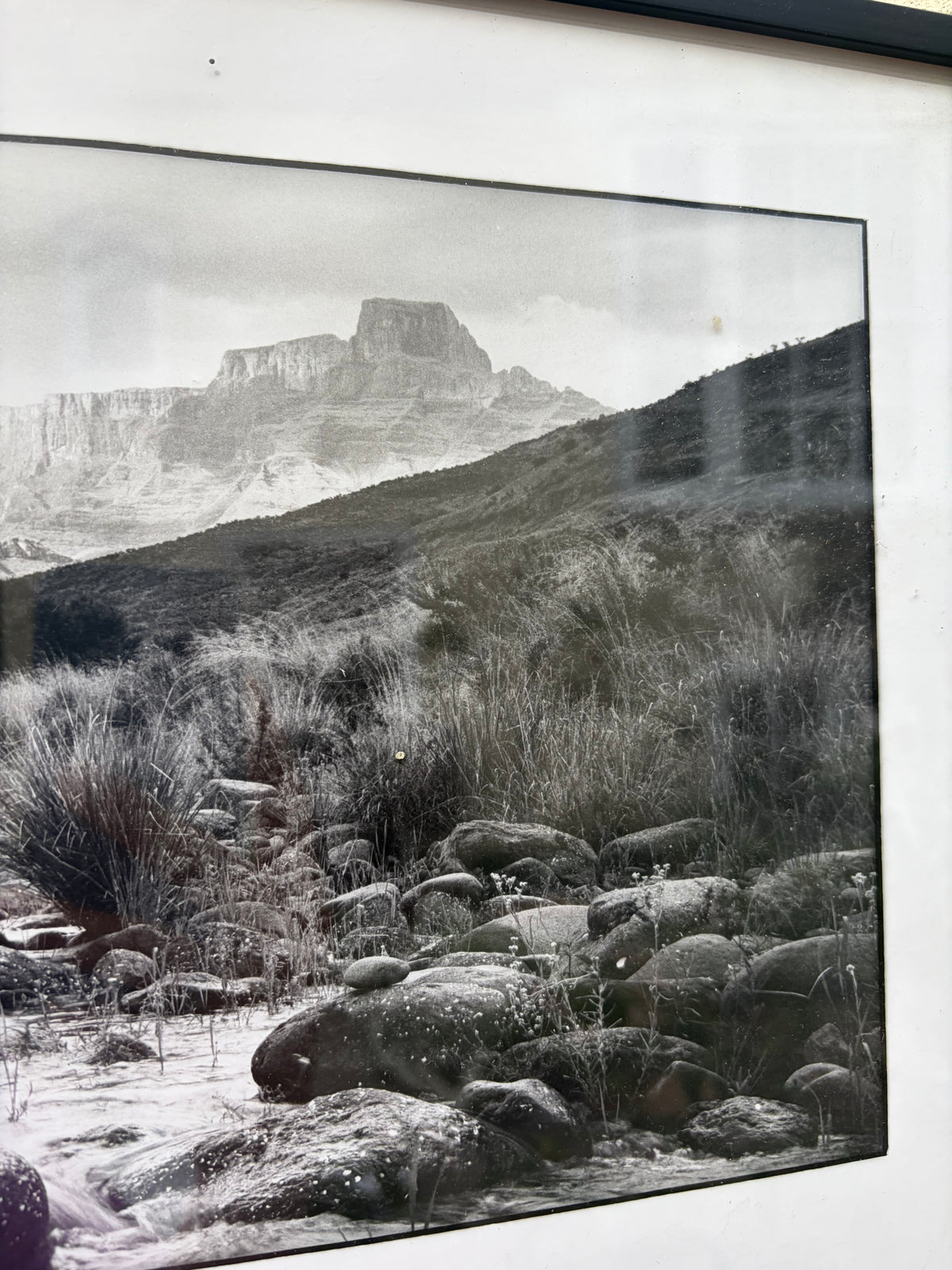 LIMITED EDITION PHOTOGRAPH