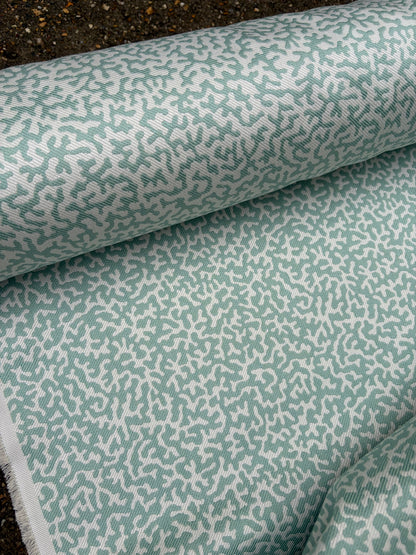 COLEFAX APOLLINE