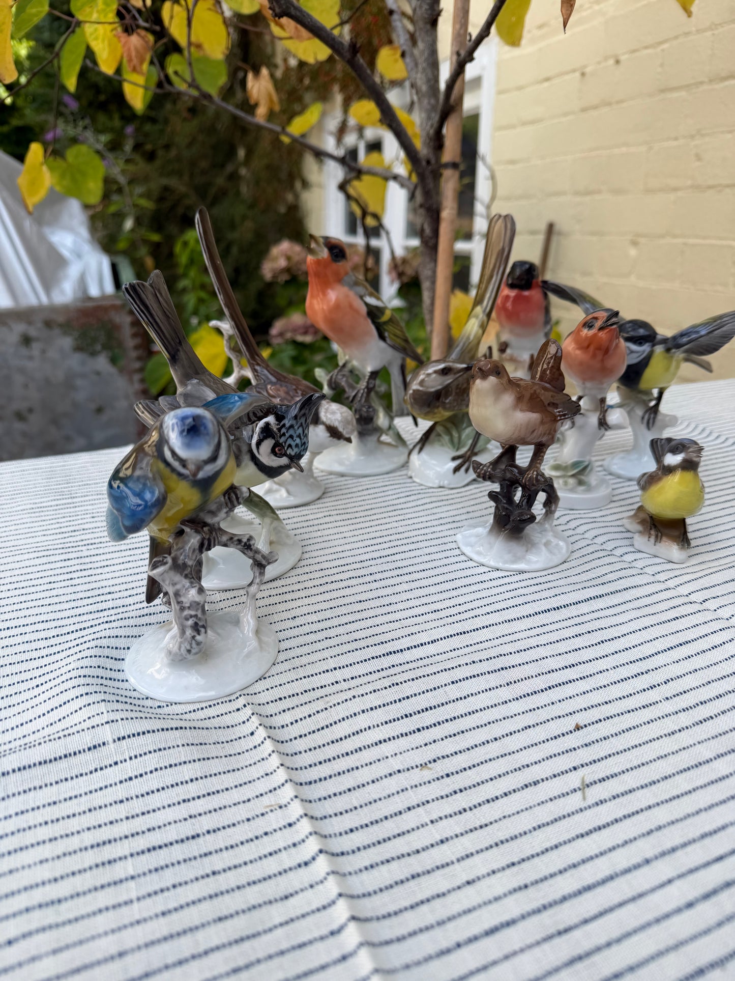 COLLECTION OF BIRDS