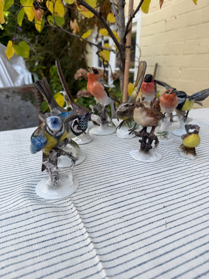 COLLECTION OF BIRDS
