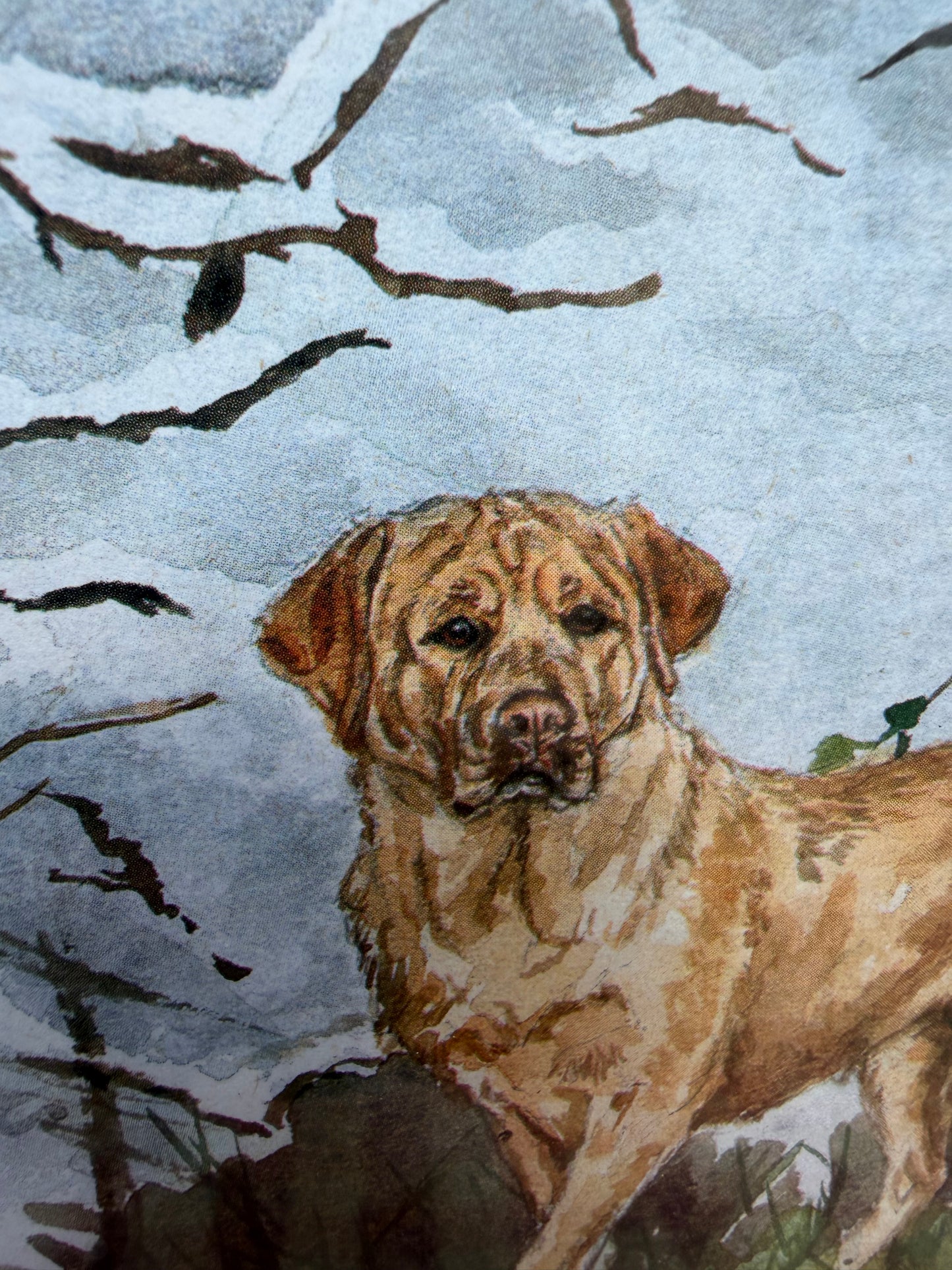 LABRADORS