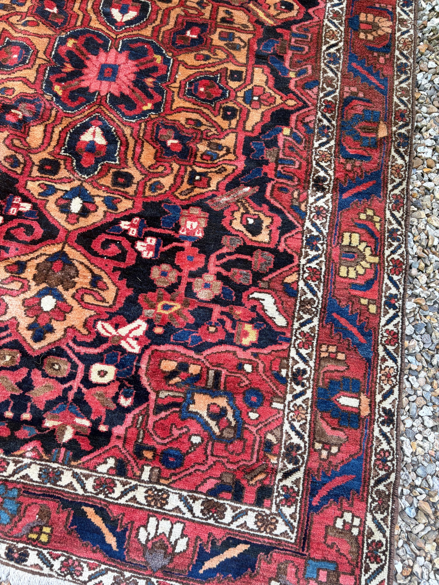CARPET