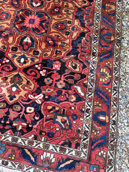 CARPET
