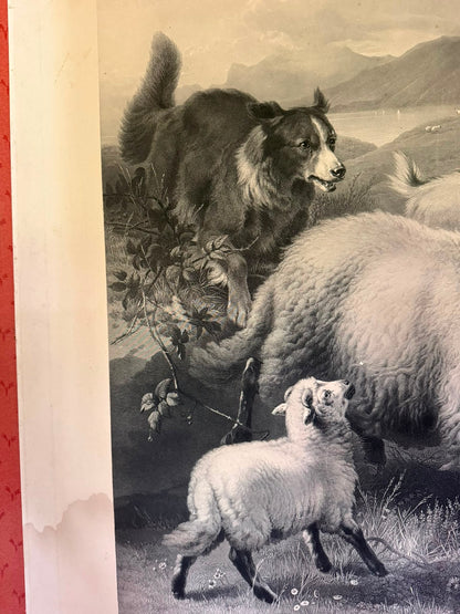 LANDSEER PRINT