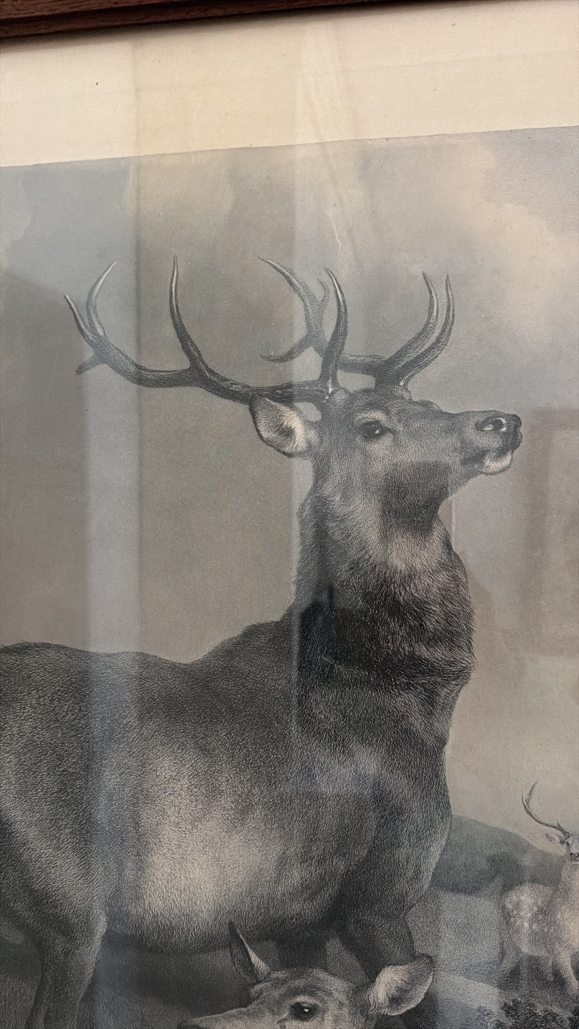 LANDSEER PRINT
