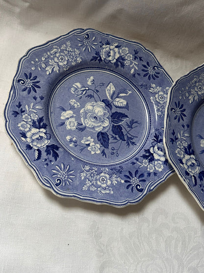 SPODE PLATES