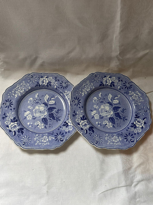 SPODE PLATES