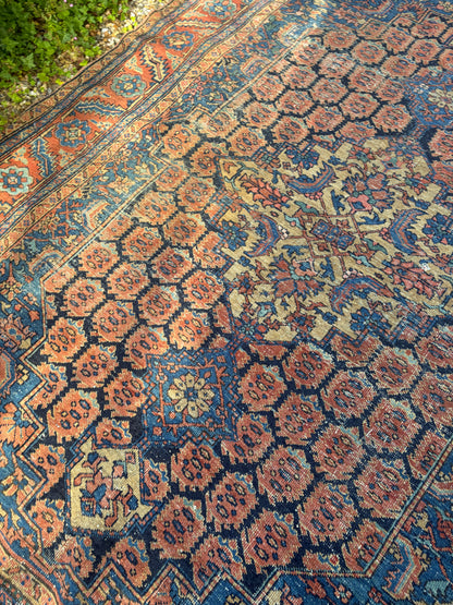 CARPET