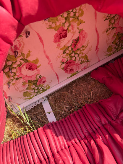 BED CANOPY