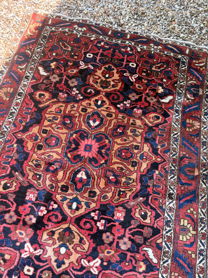 CARPET