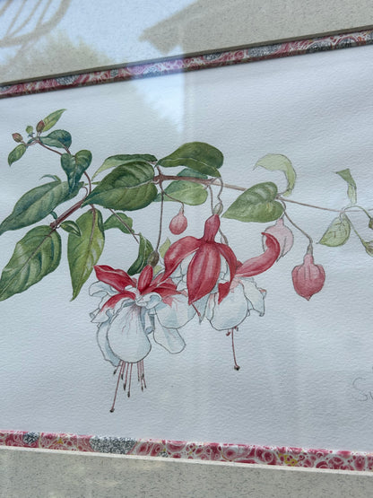 FUSCHIA DRAWING