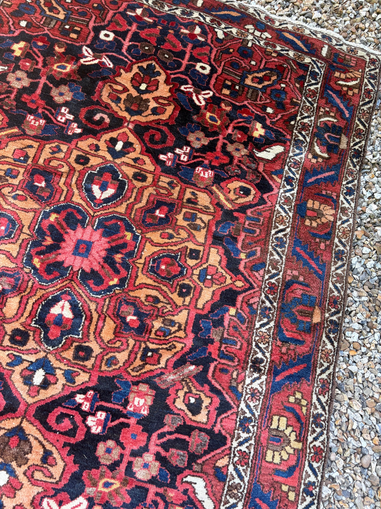 CARPET