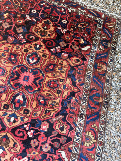 CARPET