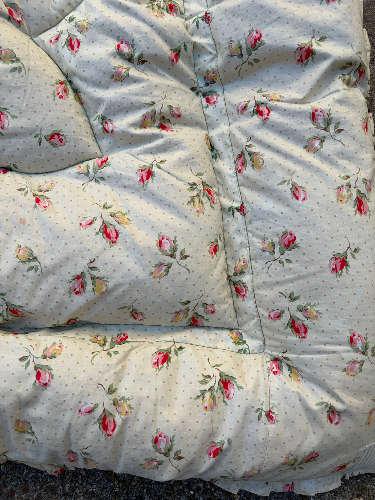 EIDERDOWN