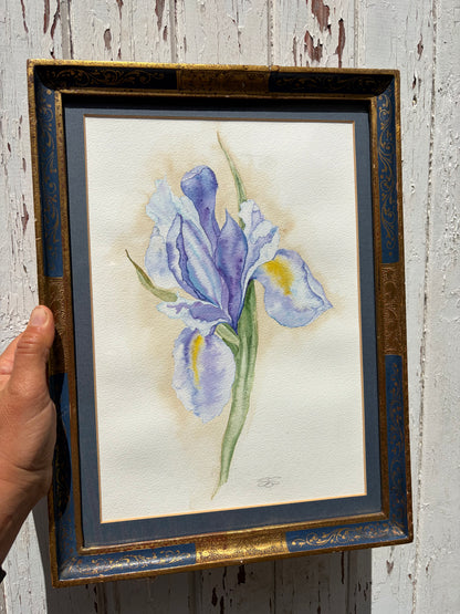 IRIS WATERCOLOUR