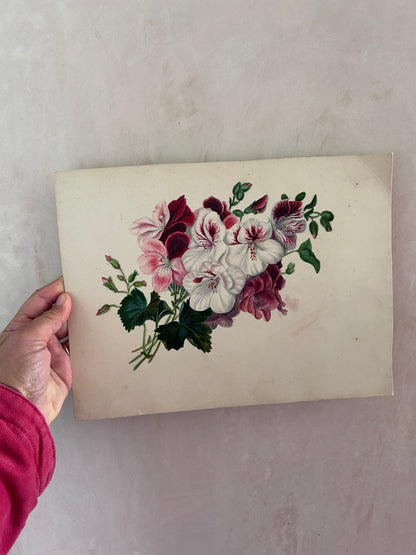 WATERCOLOUR 1870