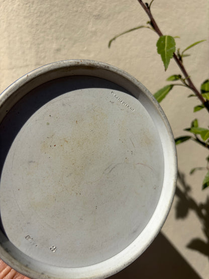 WEDGWOOD POT