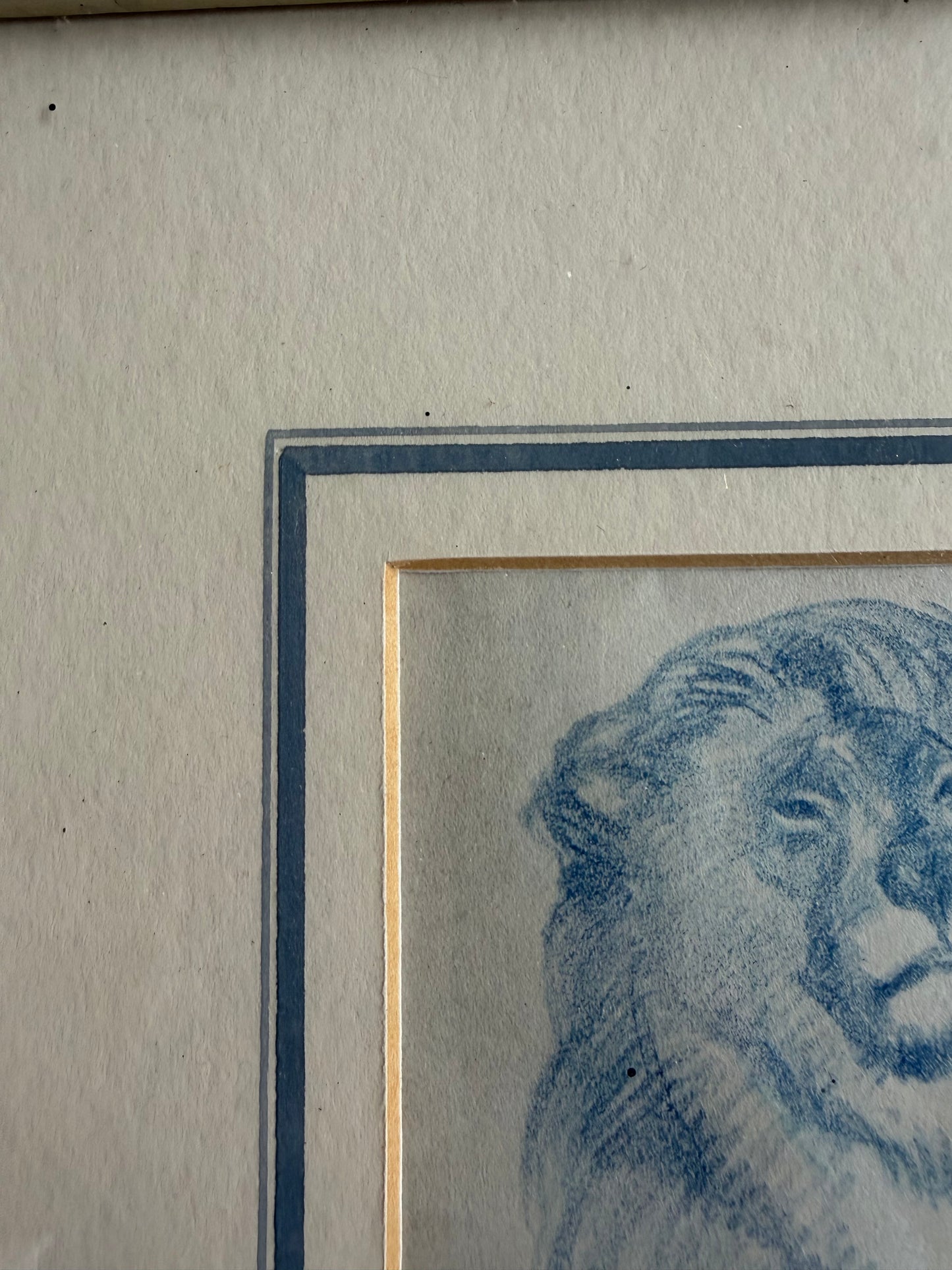 LION DRAWING