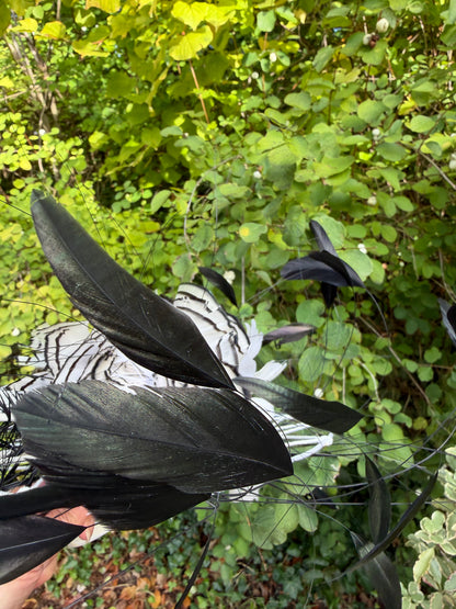 FASCINATOR