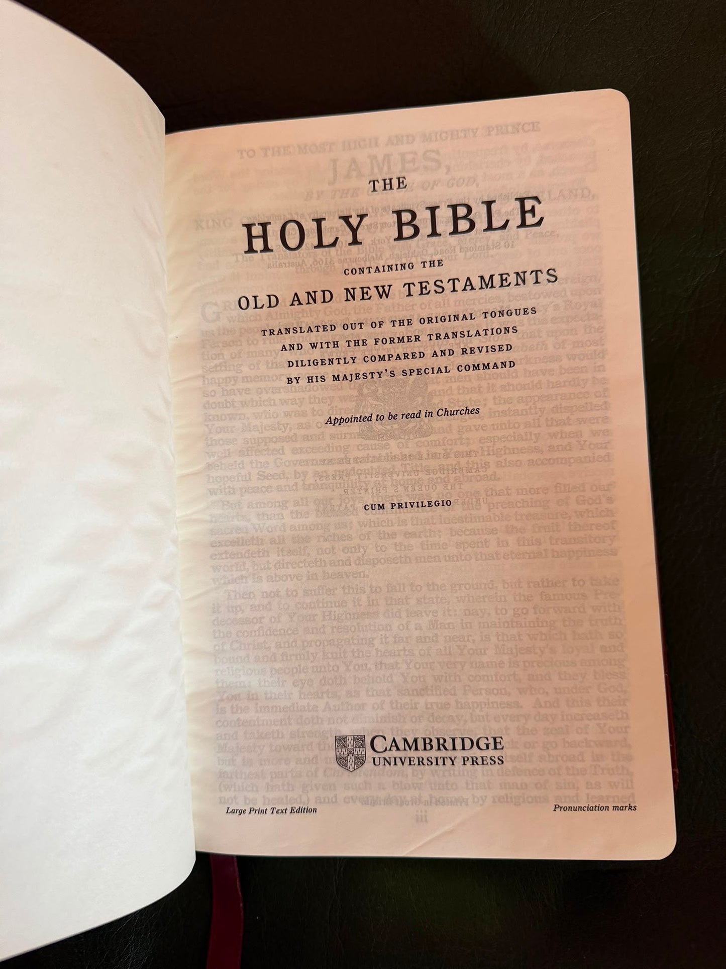 LEATHER BOUND BIBLE