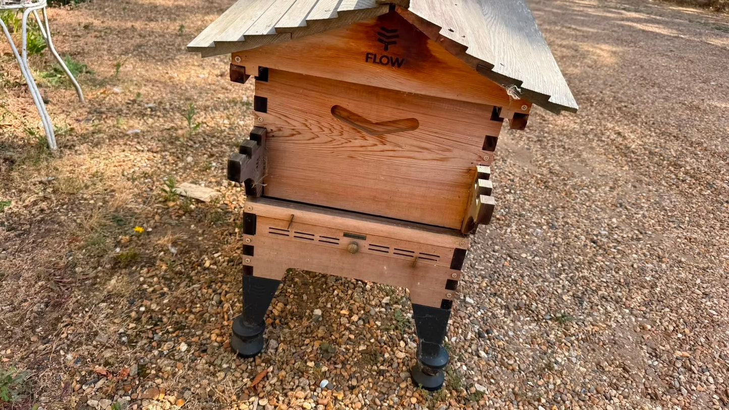 BEE HIVE