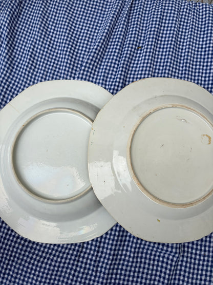 PLATES