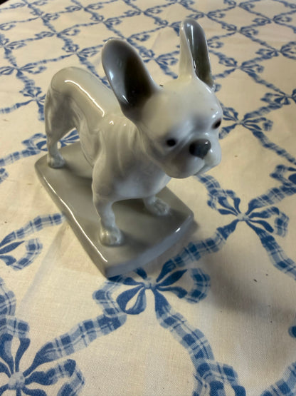 FRENCH BULLDOG