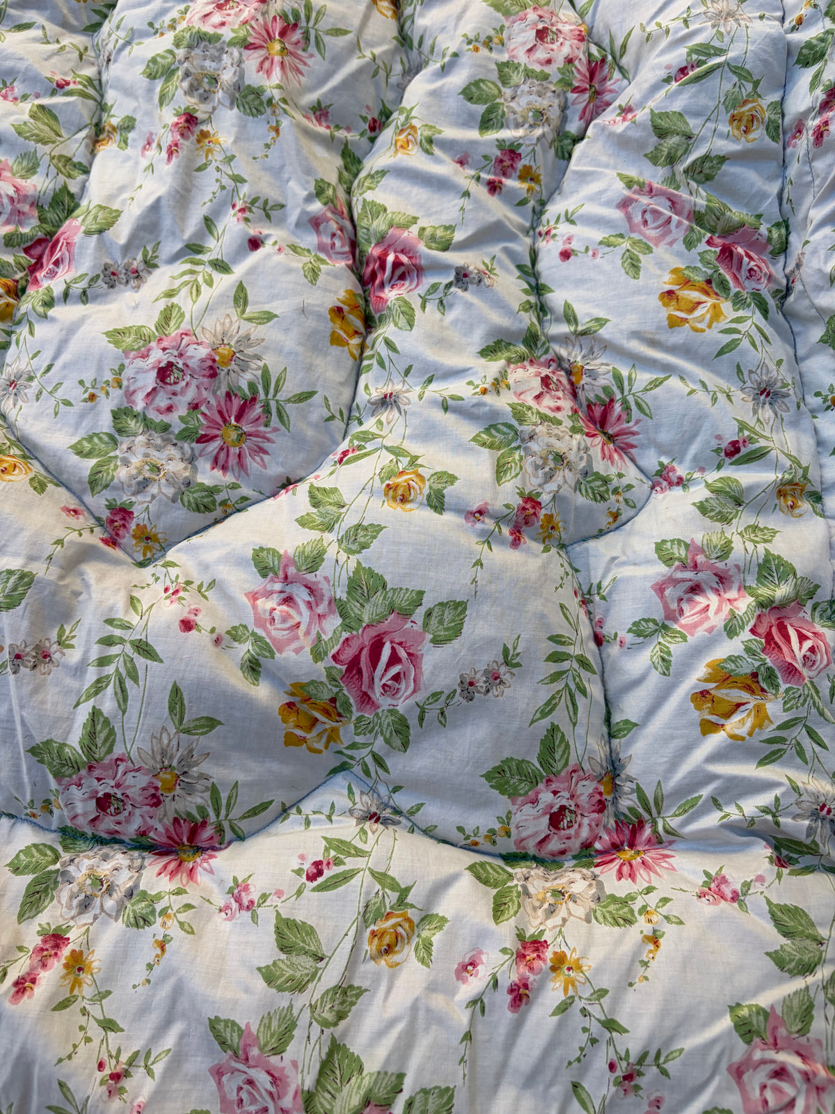 EIDERDOWN