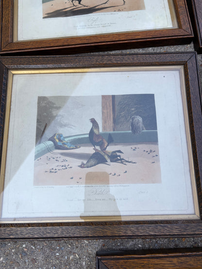 ANTIQUE PRINTS
