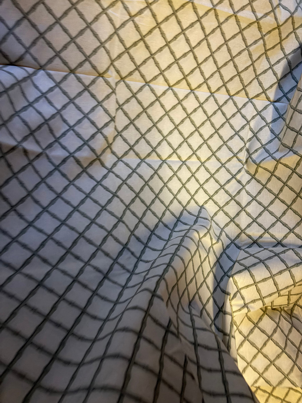 TABLECLOTH & NAPKINS