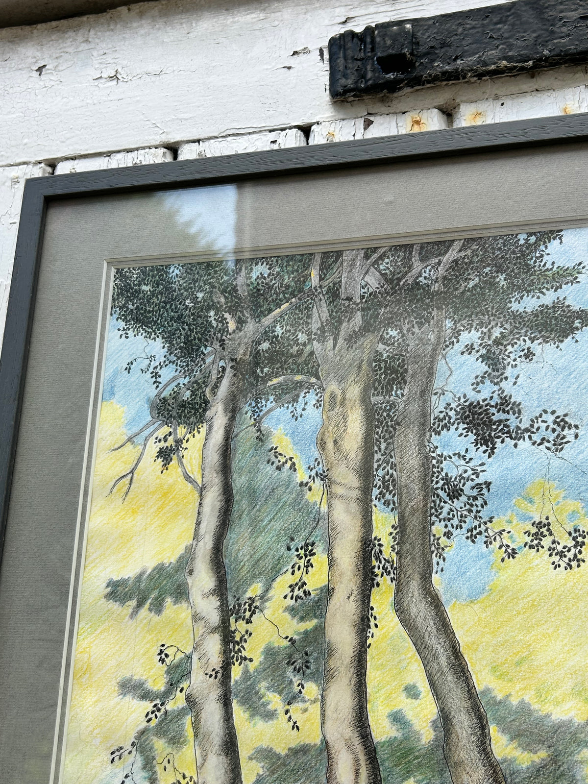 TREE DRAWING