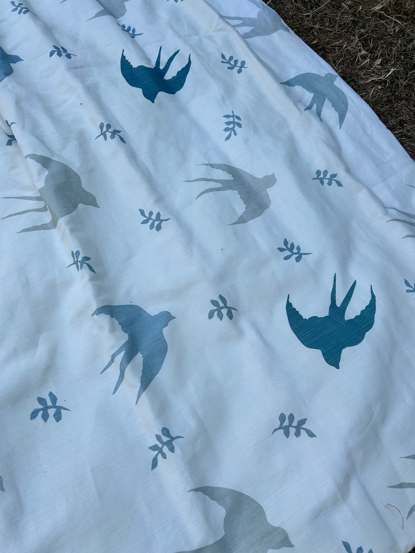 SWALLOW VANESSA ARBUTHNOTT CURTAINS