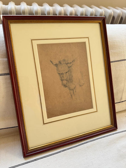 DONKEY DRAWING