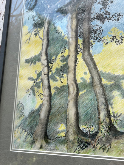 TREE DRAWING