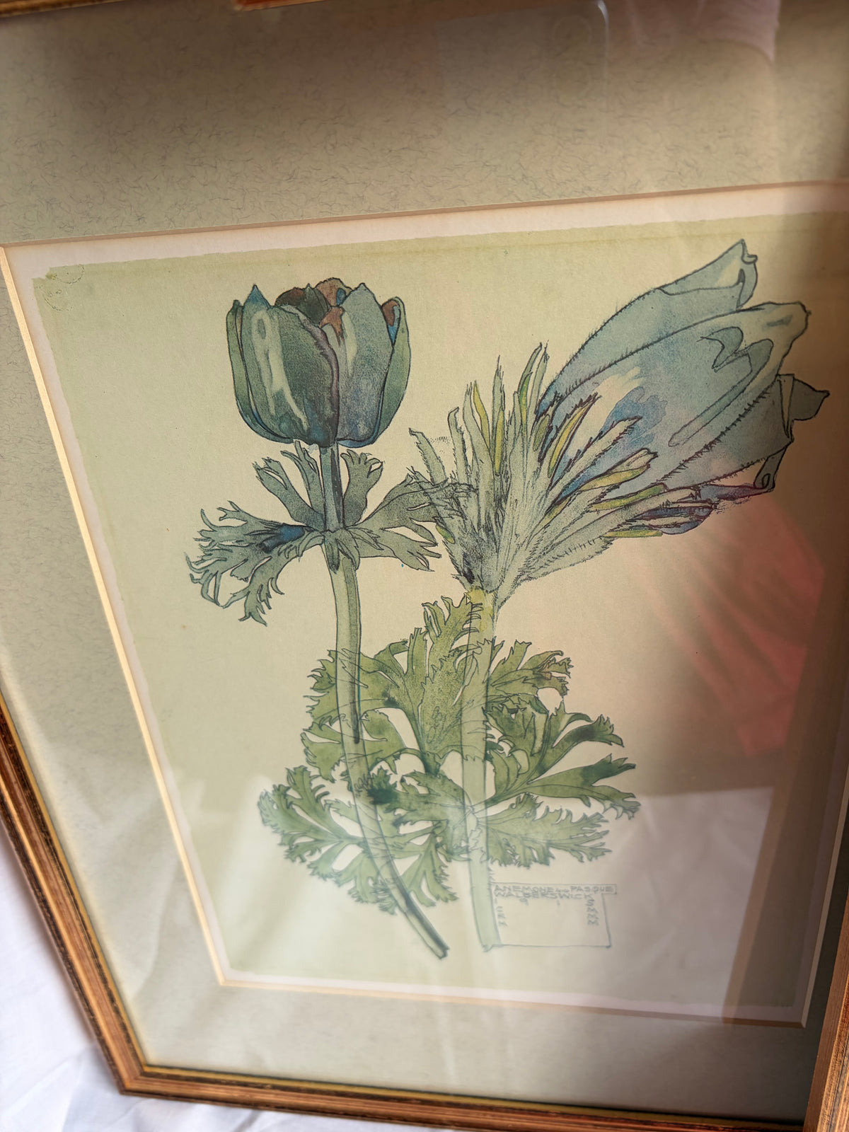 FLOWER PRINTS