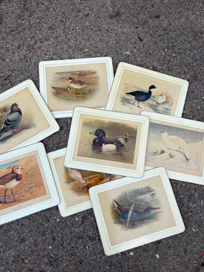 PLACEMATS