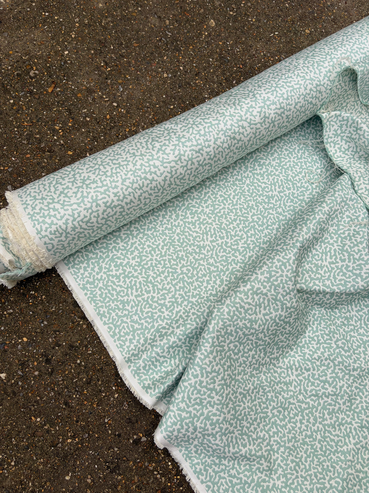 COLEFAX APOLLINE