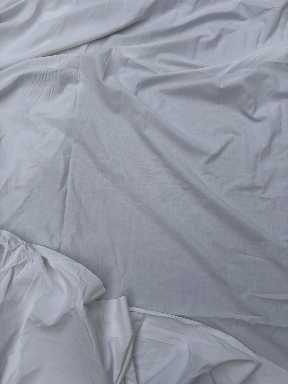 COTTON SHEETS