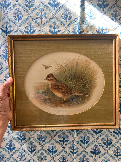 BIRD PRINT