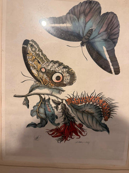 PAIR OF PRINTS