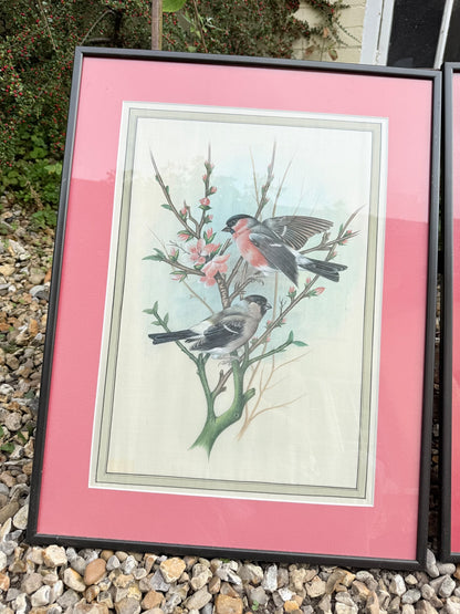BIRD PRINTS