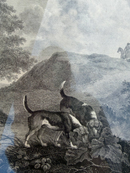 HUNTING DOGS