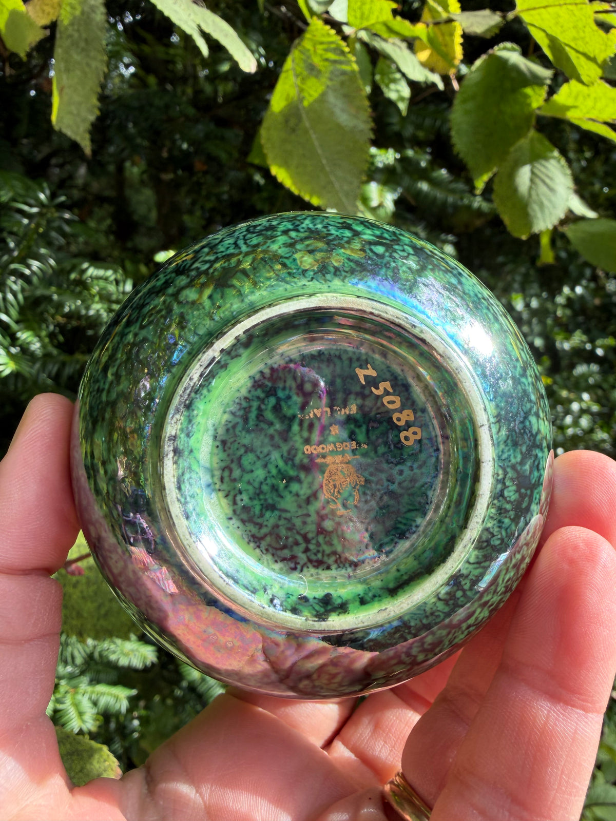 WEDGWOOD