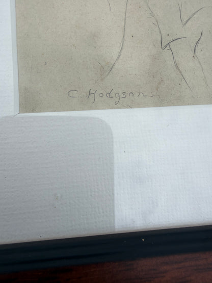 C.HODGSON SIGHTHOUND