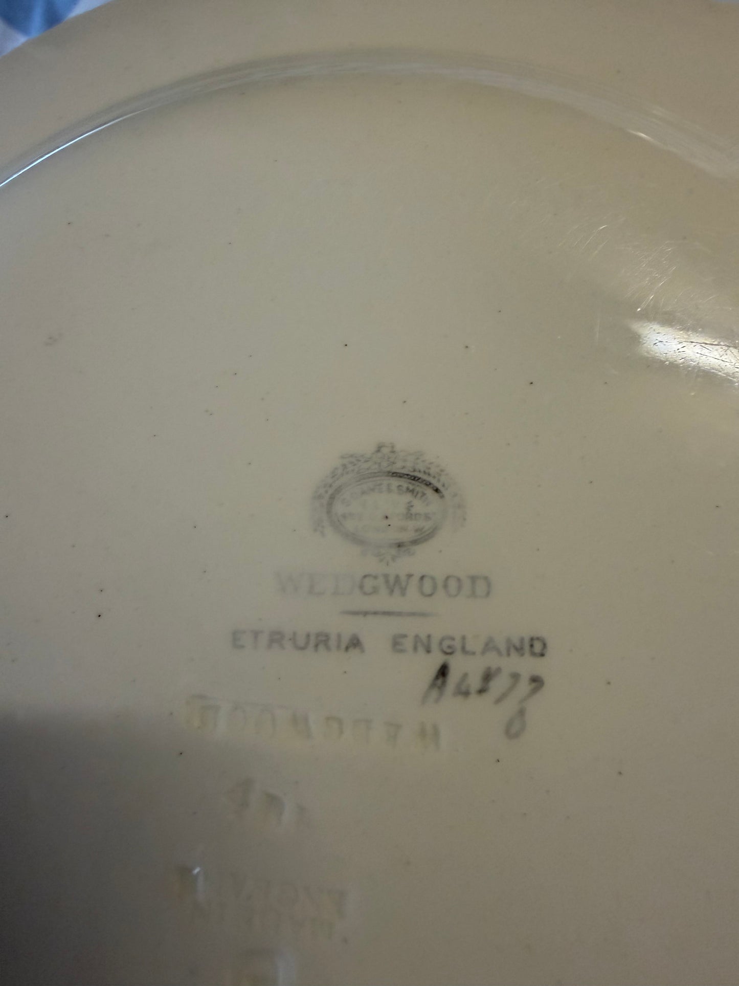 WEDGWOOD